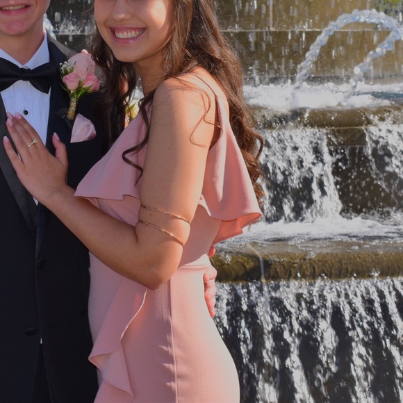 Blush Ruffle Dress - Picture 2 of 8